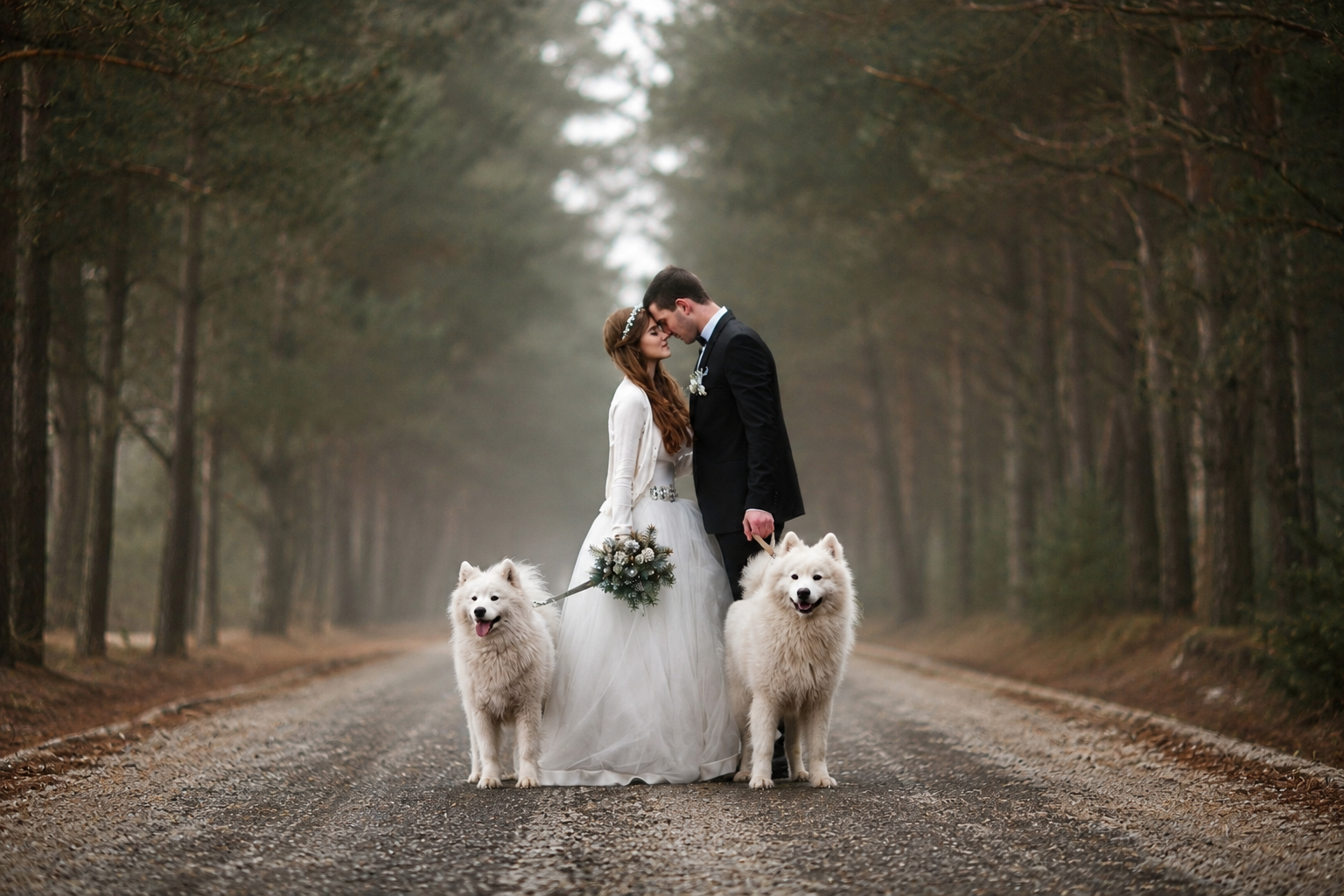 Wedding couple with two white Samoyed dogs in forest
